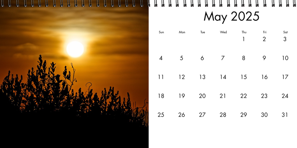 Desk Calendar 2025