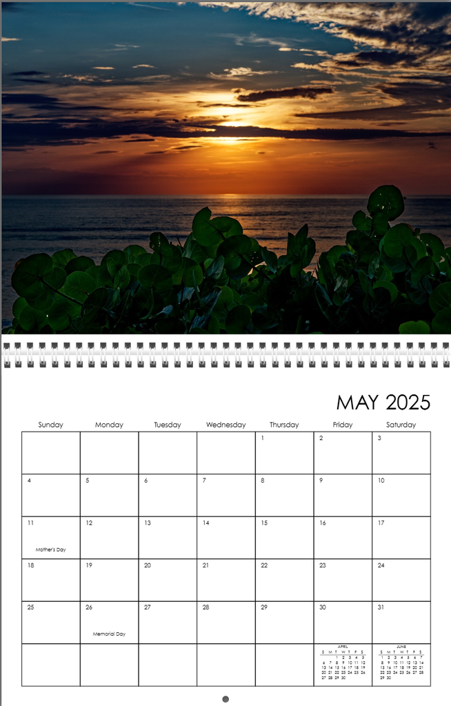 Wall Calendar 2025