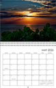 Wall Calendar 2025